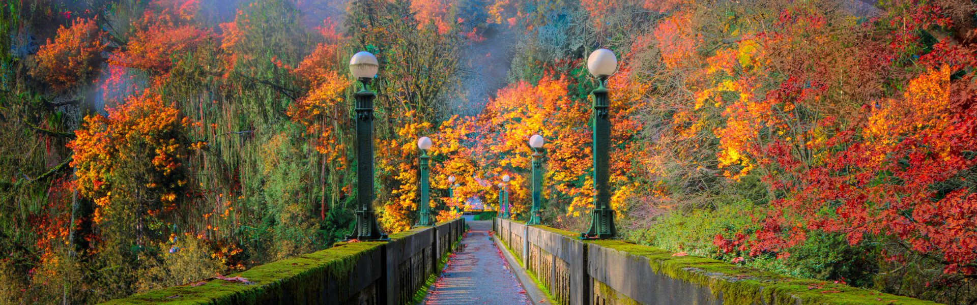 Best Outdoors Activities in Seattle