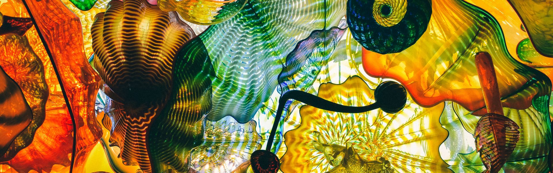 Seattle's Art Scene: Where Creativity Thrives